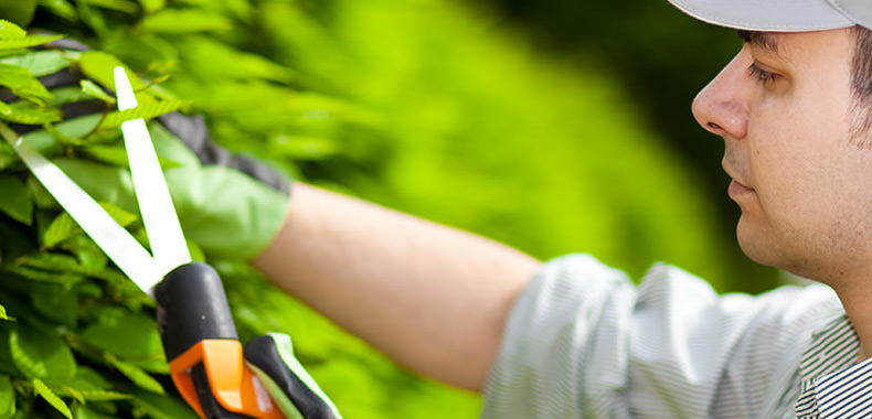 Gartenarbeiten- Aktiv Dienstleistungen NU